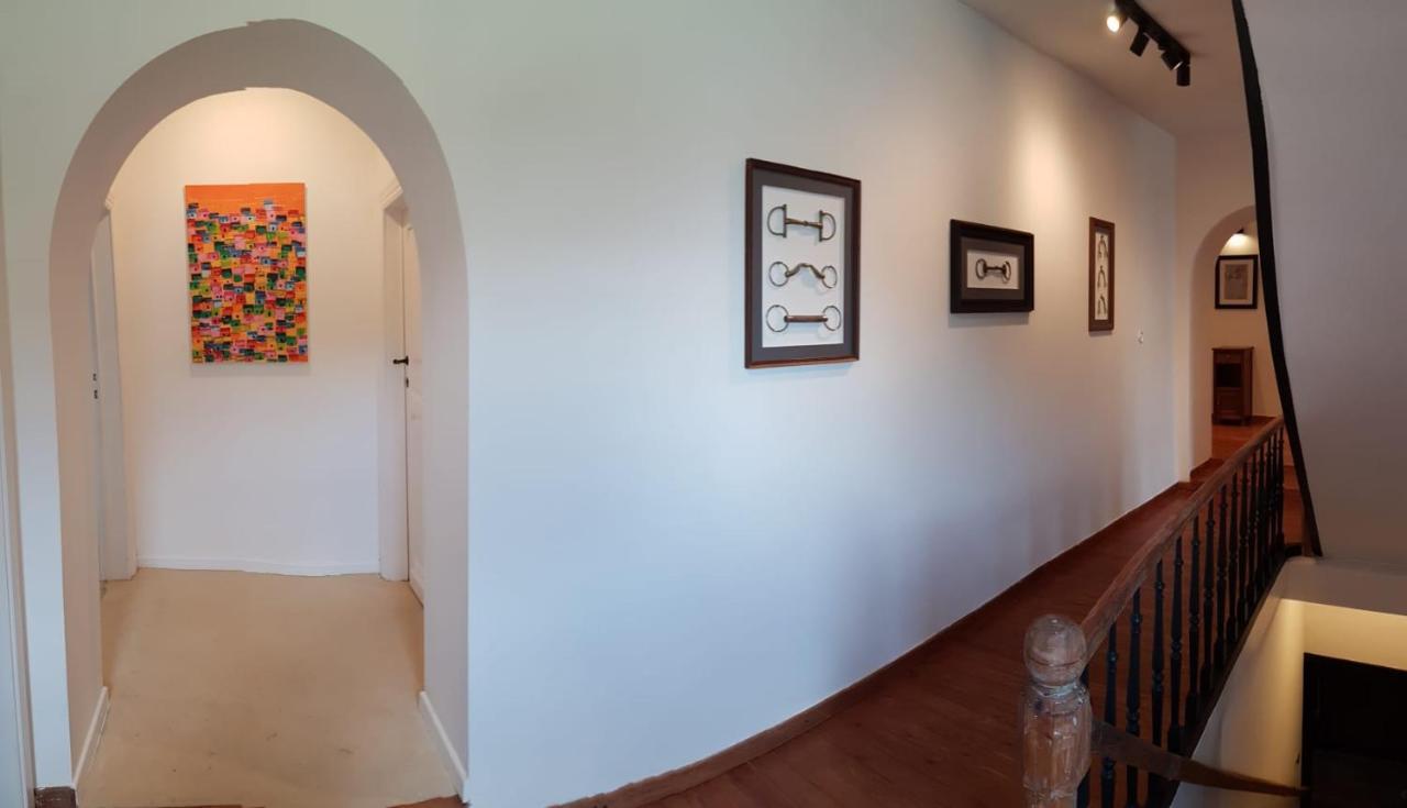 B&B At Haras Petit-Hallet Hannut 외부 사진